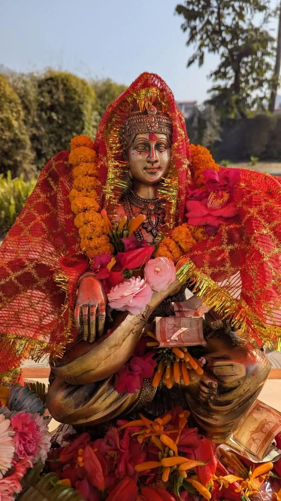 Other category photos